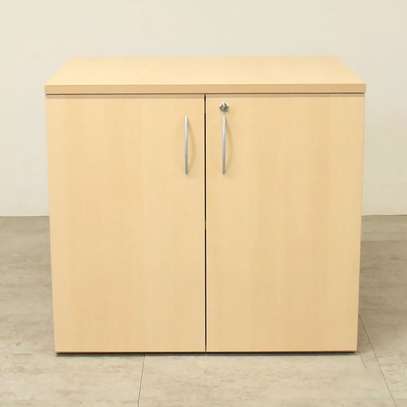 Beech Wood 2 Door Wooden Cabinet image 1