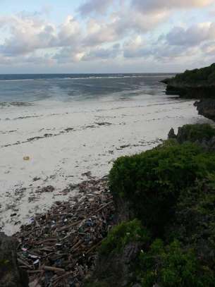 Land in Mombasa CBD image 4