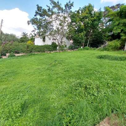0.6 ac Residential Land at Peponi Gardens image 7
