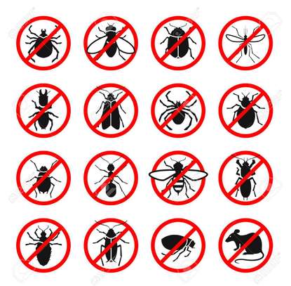 BED BUG Fumigation and Pest Control Services in Nyayo estate image 1
