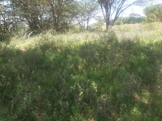 Lovely 4 Acre Land in Kiserian image 1