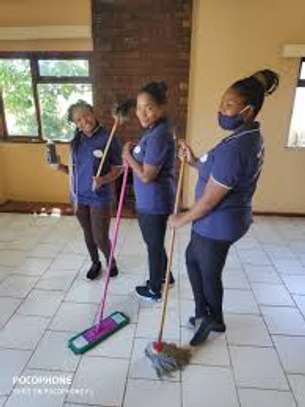 Nairobi Nannies and Housekeepers:Househelps for hire Nairobi image 7