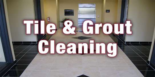 All cleaning & pest control services|Vetted & Trusted Professionals image 13