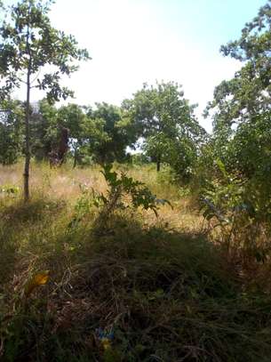 10 Acres Available For Sale in Malindi image 2