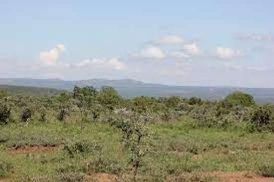 86.8 ac Land at Munyaka image 2