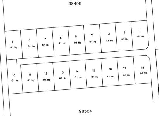 1,000 m² Land at Leshaoo image 1