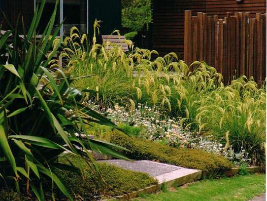 BEST Garden Maintenance/Hedge Trimming/ Lawn Treatment image 3