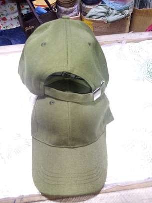 CAPS image 8