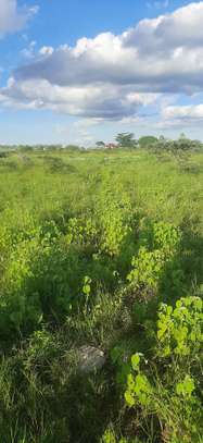 1,000 m² Land at Leshaoo image 2