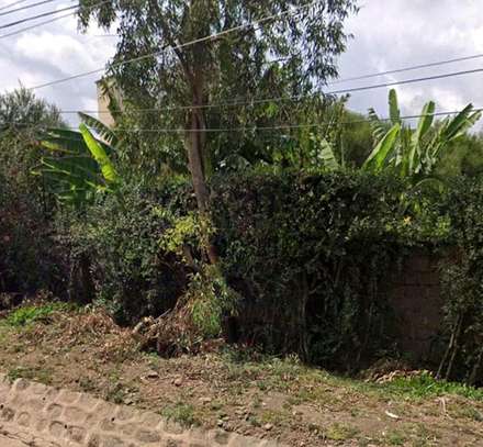 BOGANI KAREN HALF ACRE RESIDENTIAL LAND ON QUICK SALE image 4