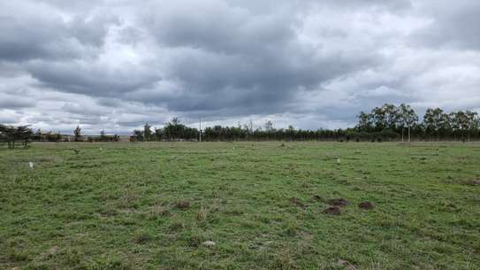 Prime 50x100 land for sale- Isinya image 4