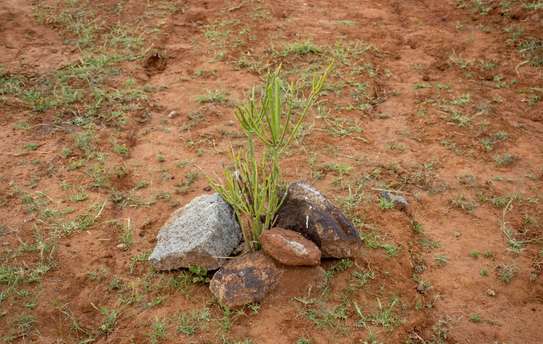 0.05 ac Land at Kikuyu image 5