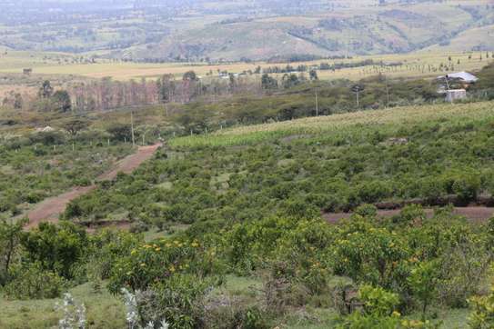 1/4 Acre Land For sale in Nakuru, Miti Mingi image 4