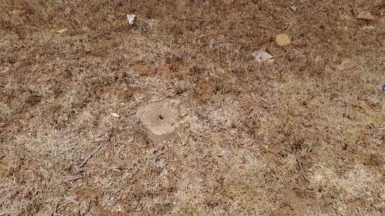0.25 ac Land at Kipkorgot image 14