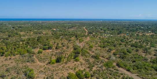 0.25 ac Residential Land at Diani Beach Road image 17