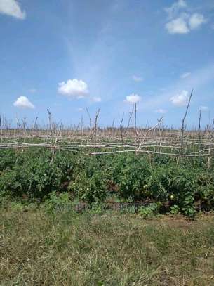50by 100 plot for sale in Nanyuki image 2