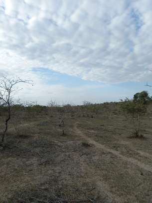 100 ac Commercial Land at Lungalunga image 1