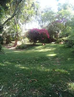 Riara 1 acre for sale image 1