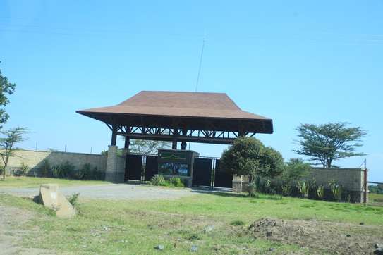 PEAKVIEW GARDENS NANYUKI PHASE 6 image 2