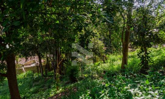 1 ac Land in Muthaiga image 3