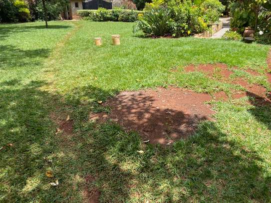 Commercial Property with Alarm in Kileleshwa image 4