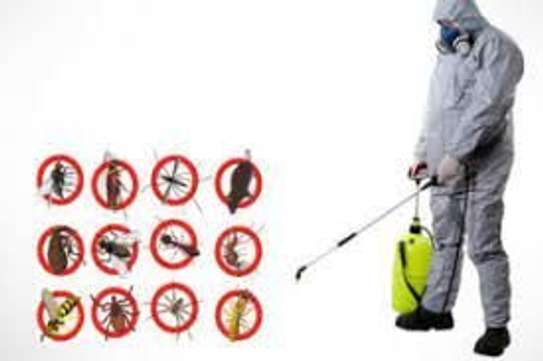 Cleaning and Fumigation Services image 3