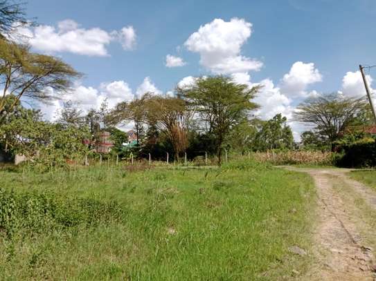 Land at Roysambu image 9