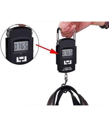Weighing Hook Scale image 2