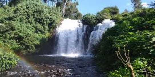 Detox Tourism image 3