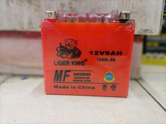 12 volts 9 ampheres dry cell battery image 1