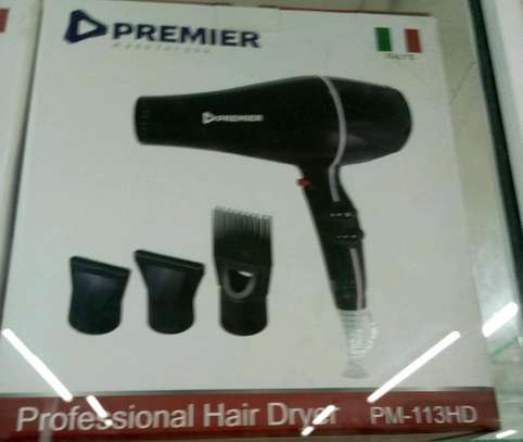 Premier Hair Dryer image 2