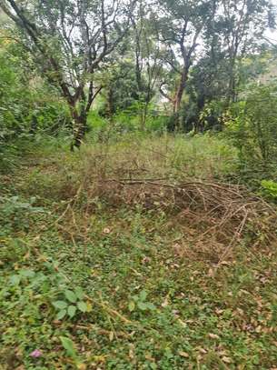 4 ac land for sale in Kilimani image 4