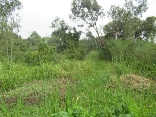 Residential Land at Ridgeways Ln image 13