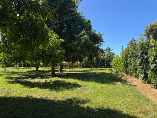 Land in Mtwapa image 24