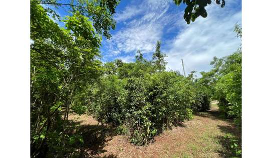 Residential Land in Diani image 8