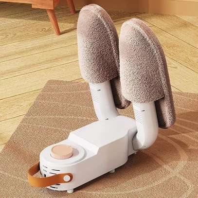 Electric Shoe dryer image 1
