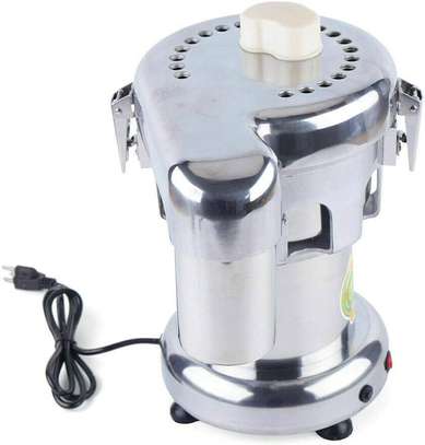 Professional Commercial Juice Extractor Vegetable Juicer image 2