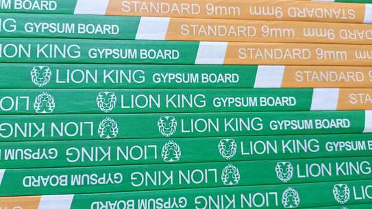 lion king gysum boards image 1