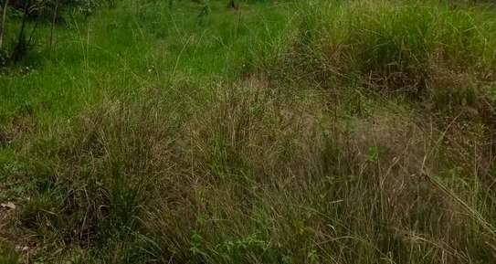 0.5 ac Residential Land at Muthaiga North image 2