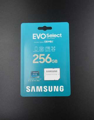 SAMSUNG EVO Select Plus Micro SD Memory Card + Adapter image 1