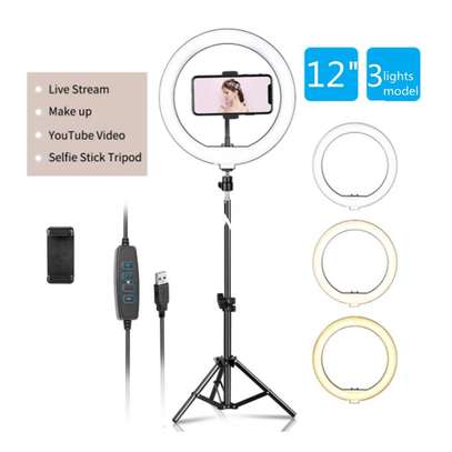 Amazon.com : Dioche LED Ring Light with Overhead Phone Holder - 12W 12 Inch  Video Light - 3 Adjustable Colors, USB Charging, 160 LED Camera Photo Video  Lighting Kit for Portrait Video, Vlog, Makeup : Electronics