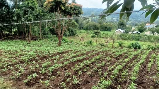 Residential Land in Rironi image 1