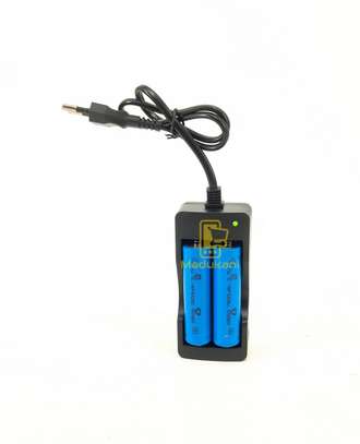 18650 Battery Dual Intelligent Rapid Charger + 2 Batteries image 4