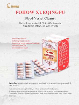 BLOOD CLEANSER image 1