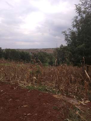 40X80ft PLOTS FOR SALE AT KABATI ZABKA IN MURANGA COUNTY image 12