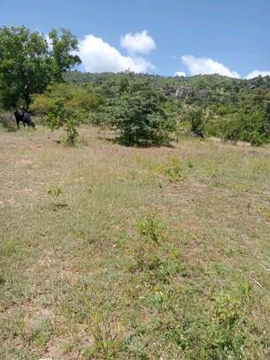 50X100ft PLOTS AT MAKUYU MITHIINI image 2