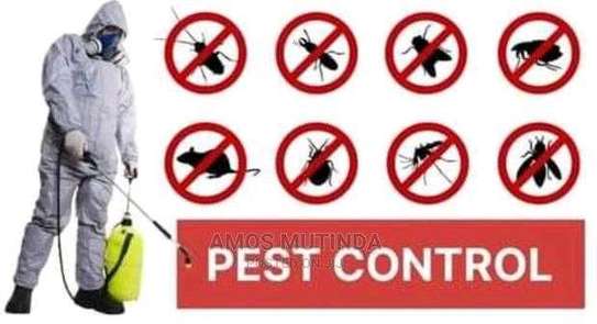 Pest control image 1