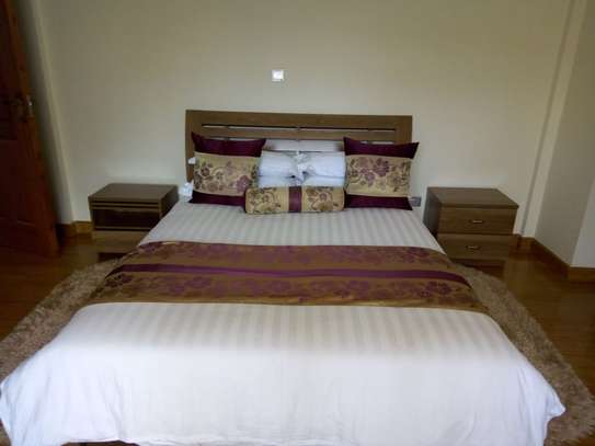 Serviced 2 Bed Apartment with En Suite at Nyari Central image 19
