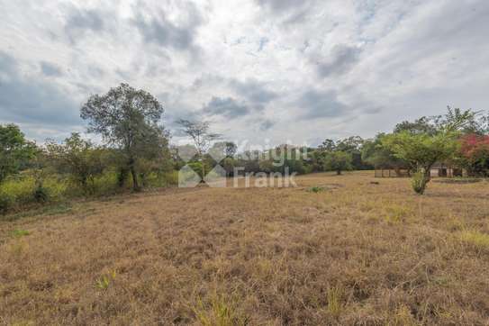 19.1 ac Land at Mukoma Road image 1