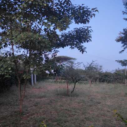 Land at Ngatataek image 24